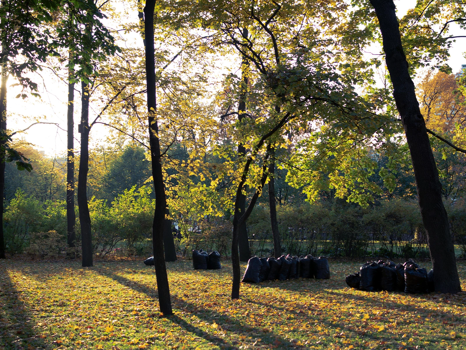 Seasonal property closing with fall leaf cleanup in Salmon Arm and the Shuswap